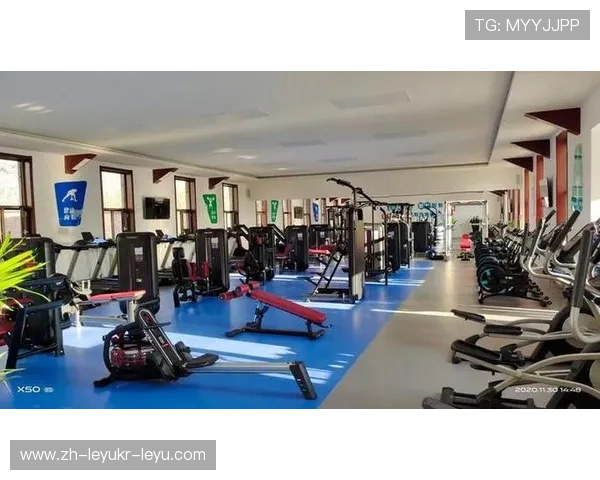 美国多功能健身器材推荐及其在家庭和健身房中的应用优势