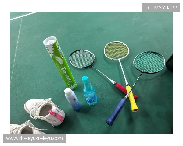 羽毛球扑球的分类