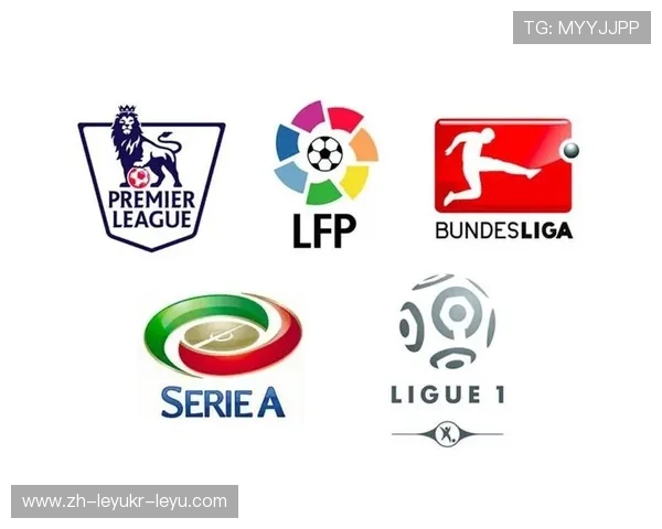 德甲足球队外观与设计风格全面解析