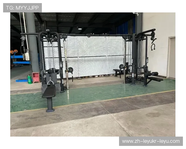 高端健身器材供应商厂家直供商用家用器械